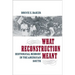 What Reconstruction Meant: Historical Memory in the American South