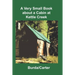 A Very Small Book about a Cabin at Kettle Creek