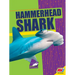 Hammerhead Shark