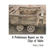 A Preliminary Report on the Clays of Idaho