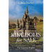 Kingdoms for Sale: The Journey Begins