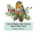 Color By Number Adult Coloring Book of Winter Birds: Winter Bird Scenes, Festive Holiday Christmas Winter Birds Large Print Coloring Book For Adults