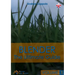Blender - The Ultimate Guide - Volume 1