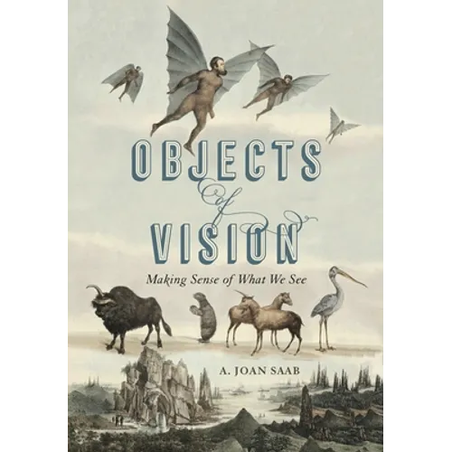 Objects of Vision: Making Sense of What We See