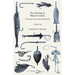 Fly-Fishing in Maines Lakes - Or Camp-Life in the Wilderness