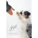 The Gift