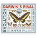 Darwin's Rival: Alfred Russel Wallace and the Search for Evolution