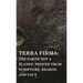 Terra Firma: the Earth Not a Planet, Proved from Scripture, Reason, and Fact