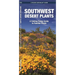 Southwestern Desert Plants: An Introduction to Familiar Species