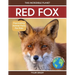 Red Fox: Fascinating Animal Facts for Kids