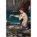 The Mermaid's Purse