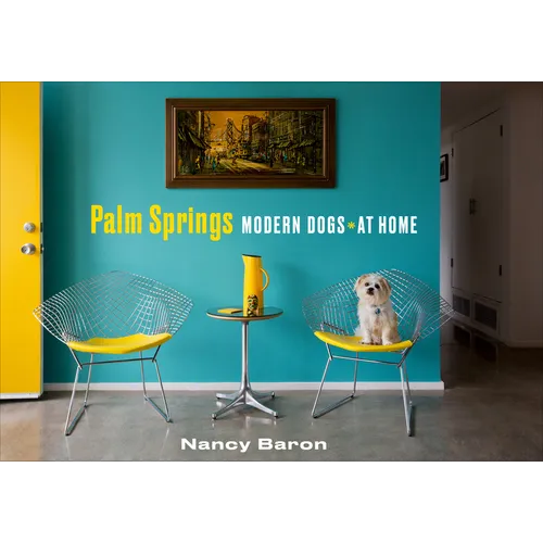 Palm Springs Modern Dogs at Home