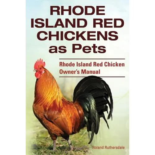 Rhode Island Red Chickens as Pets. Rhode Island Red Chicken Owner's Manual