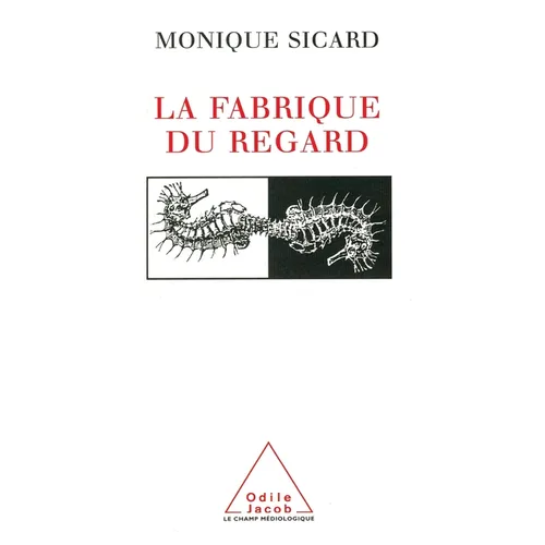 La Fabrique du regard