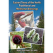 Sacred Trees of the North: Traditional and Medicinal Blessings