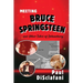Meeting Bruce Springsteen ... and Other Tales of Debauchery