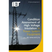 Condition Assessment of High Voltage Insulation in Power System Equipment