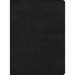 CSB Apologetics Study Bible, Black Leathertouch