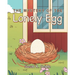 The Mystery of the Lonely Egg