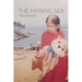 The Missing Sea