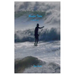 Rooster Tales - a surf journal