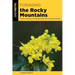 Foraging the Rocky Mountains