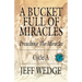 A Bucket Full of Miracles: Preaching the Miracles -- Cycle a