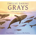 Twelve Daring Grays: A Whale Migration Adventure