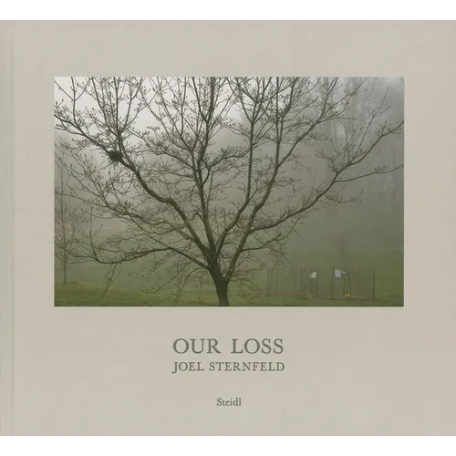 Joel Sternfeld: Our Loss