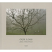 Joel Sternfeld: Our Loss