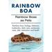Rainbow Boa. Rainbow Boas as Pets. Rainbow boa, biology, behavior, husbandry, daily care, enclosures, costs, diet, interaction and health.