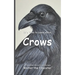 It's Time to Learn about Crows
