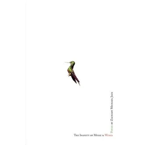 The Inanity of Music and Wings