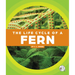 The Life Cycle of a Fern