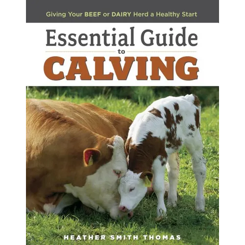 Essential Guide to Calving: Giving Your Beef or Dairy Herd a Healthy Start
