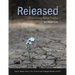 Released: Overcoming Sexual Trauma Workbook