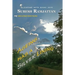 Ageing Has a Silver Lining: Second Edition: ....coping with rainy days