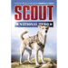 Scout: National Hero