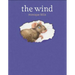 The Wind
