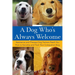 A Dog Who's Always Welcome: Assistance and Therapy Dog Trainers Teach You How to Socialize and Train Your Companion Dog