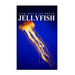 Jellyfish - Curious Kids Press: Kids book about animals and wildlife, Children's books 4-6