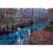 Ichetucknee: Sacred Waters