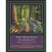 The Practice of Herbalism: Options on the Plant Healer's Path