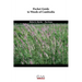 Pocket guide to weeds of Cambodia