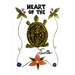 Heart of the Turtle: A Poetry Anthology