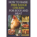 How to Raise Free Range Chicken For Eggs and Meat: Free Range Chicken Farmin