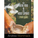 The New You and the Holy Spirit Study Guide