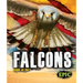 Falcons