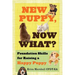 New Puppy, Now What? Foundation Skills for Raising a Happy Puppy