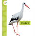 Storks